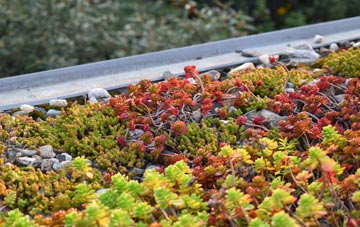 the cost of Sawtry green roof installation