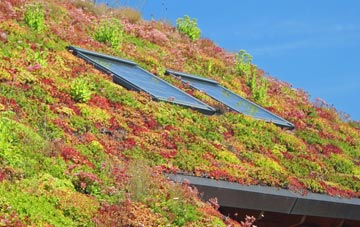 Sawtry living roof systems